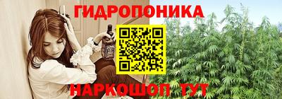 дмт Канаш