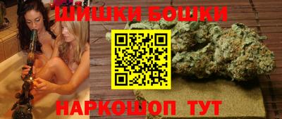 apvp Камышлов
