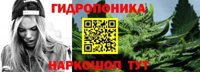 apvp Камышлов