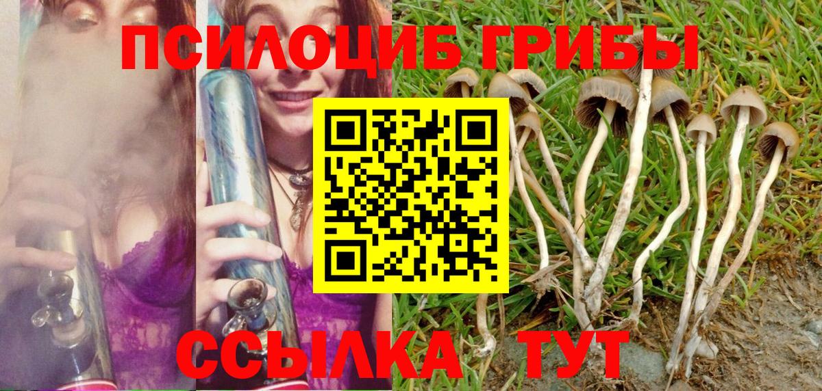 Галлюциногенные грибы GOLDEN TEACHER Славгород