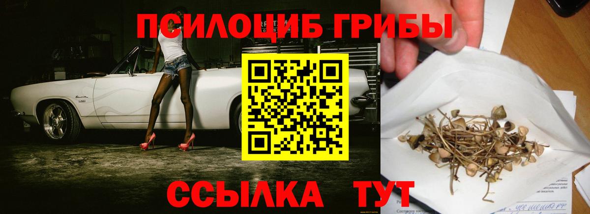 где можно купить   Славгород  Галлюциногенные грибы MAGIC MUSHROOMS  Псилоцибиновые грибы Psilocybine cubensis 
