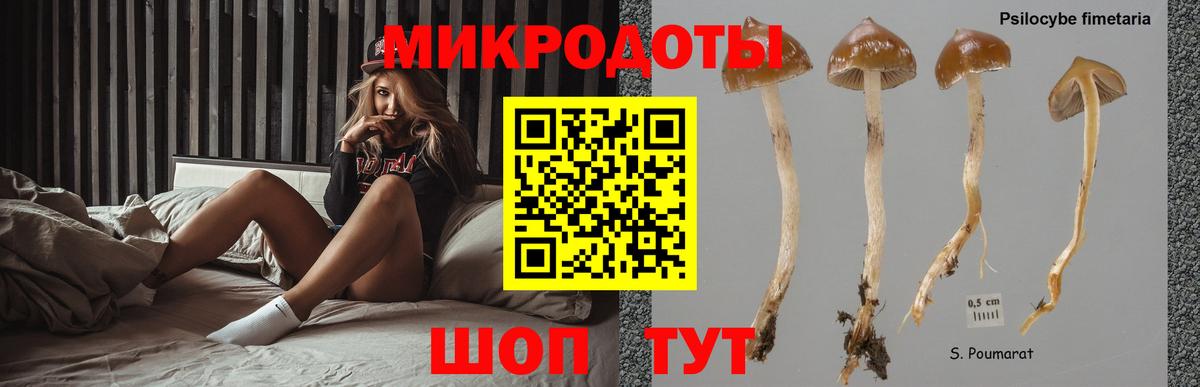 Славгород  Псилоцибиновые грибы GOLDEN TEACHER  Галлюциногенные грибы Cubensis  Вход с VPN 