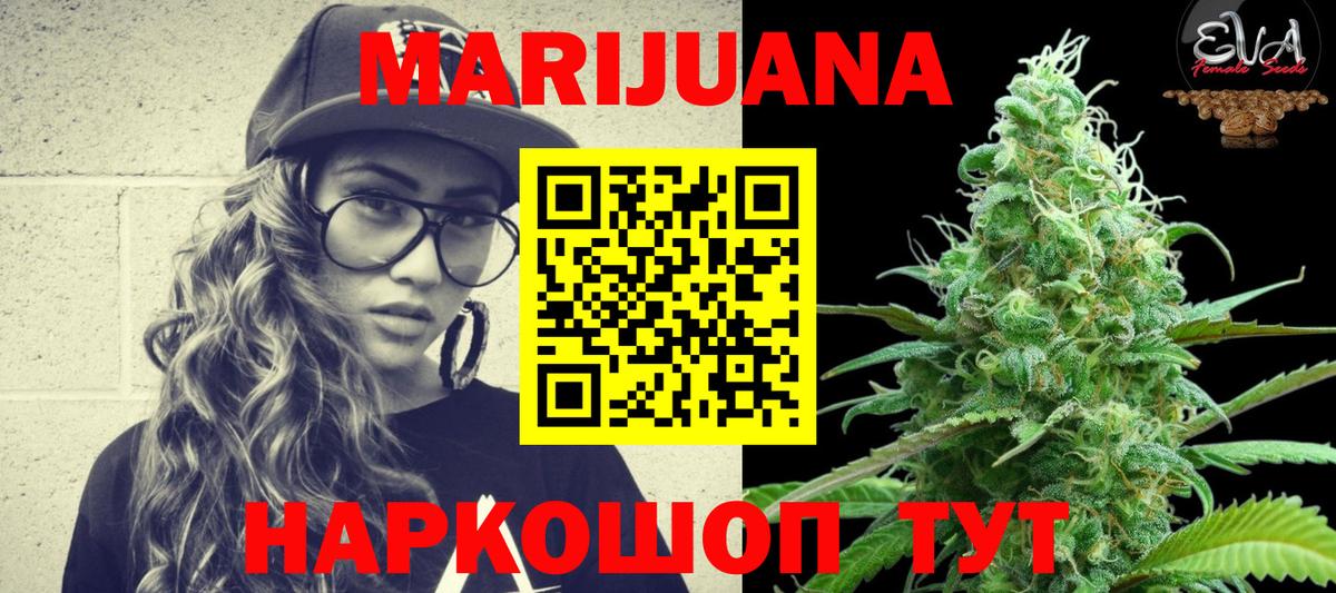 Шишки марихуана тримм  Вход с VPN  Шишки марихуана Amnesia  Бошки Шишки план  Шишки марихуана White Widow  Славгород 